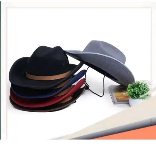 Tumpukan topi koboi hitam, biru, merah marun dan abu-abu dengan tali dagu di samping pot tanaman kecil