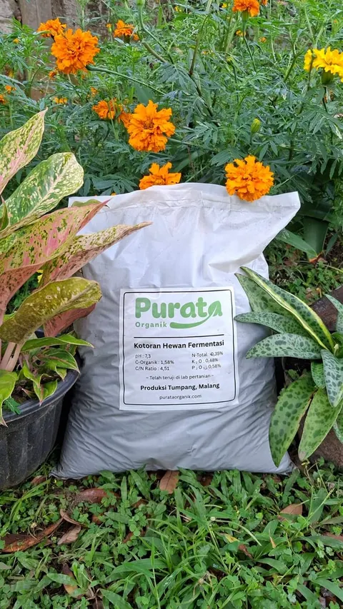 Karung putih Purata Organik berlabel Kotoran Hewan Fermentasi di antara bunga marigold jingga dan tanaman hias