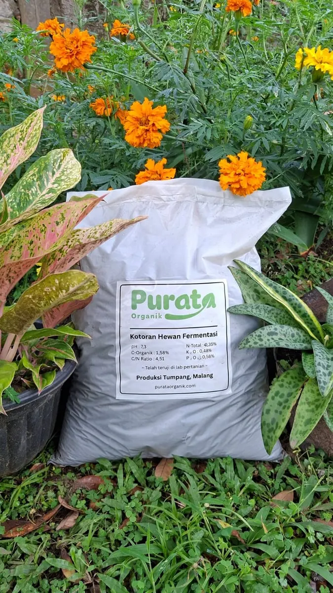 Karung putih Purata Organik berlabel Kotoran Hewan Fermentasi di antara bunga marigold jingga dan tanaman hias