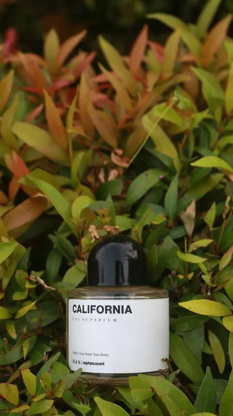 Botol parfum California Eau de Parfum 50 ml bertutup hitam bulat di antara daun pucuk merah